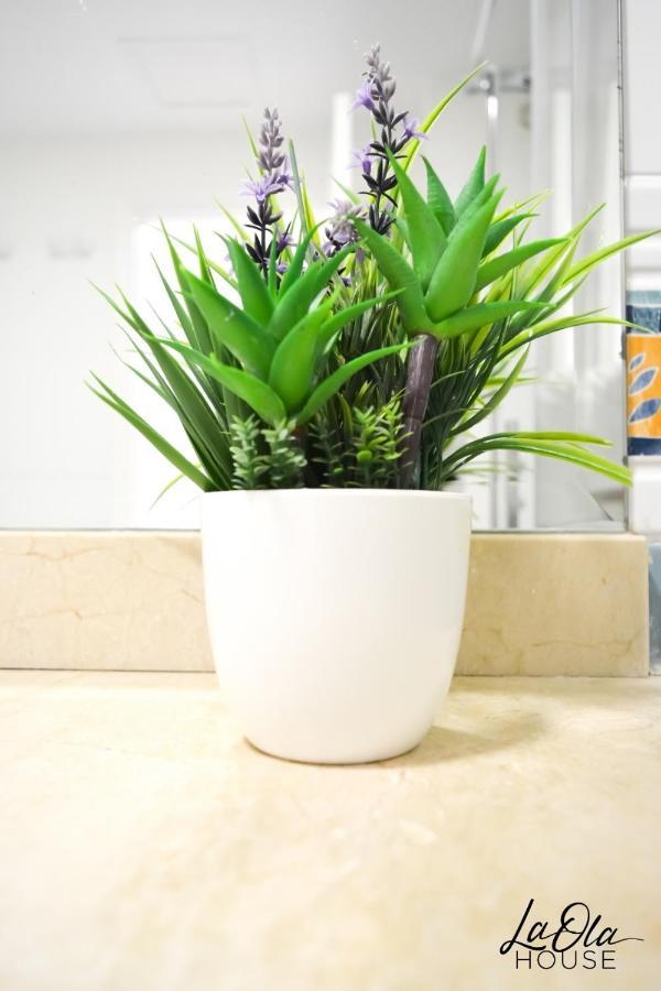 קורלחו La Ola House Precioso Apartamento Con Piscina מראה חיצוני תמונה